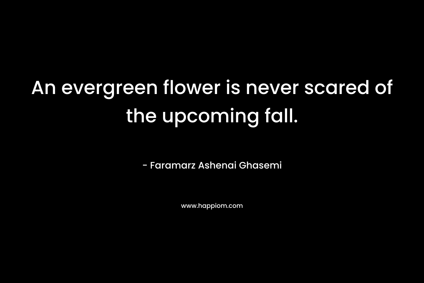 An evergreen flower is never scared of the upcoming fall.