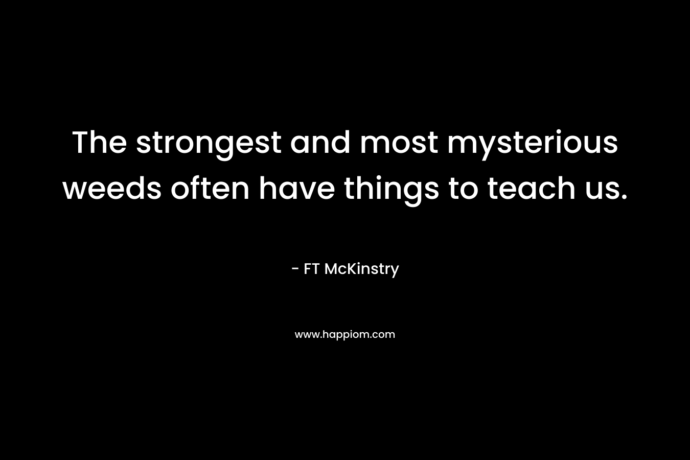 The strongest and most mysterious weeds often have things to teach us. – FT McKinstry