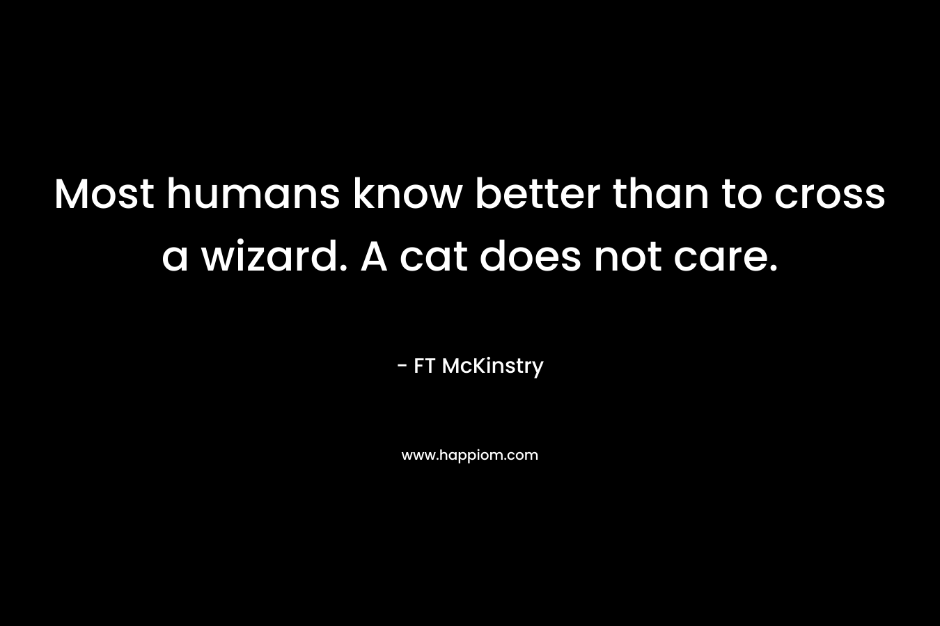 Most humans know better than to cross a wizard. A cat does not care. – FT McKinstry