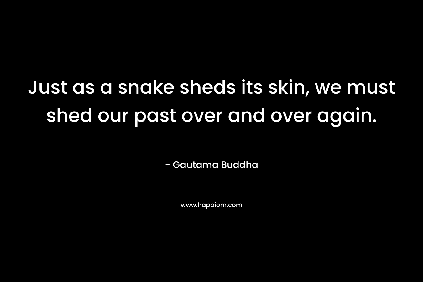 Just as a snake sheds its skin, we must shed our past over and over again. – Gautama Buddha