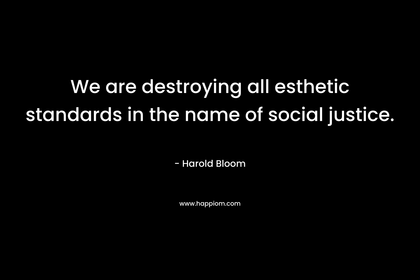 We are destroying all esthetic standards in the name of social justice. – Harold Bloom