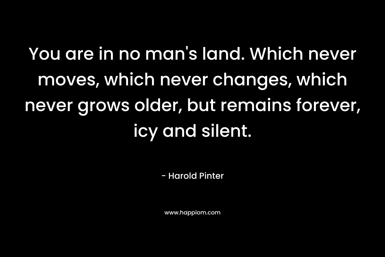You are in no man’s land. Which never moves, which never changes, which never grows older, but remains forever, icy and silent. – Harold Pinter