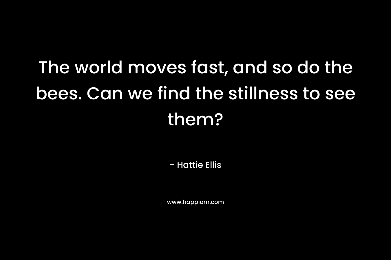 The world moves fast, and so do the bees. Can we find the stillness to see them?