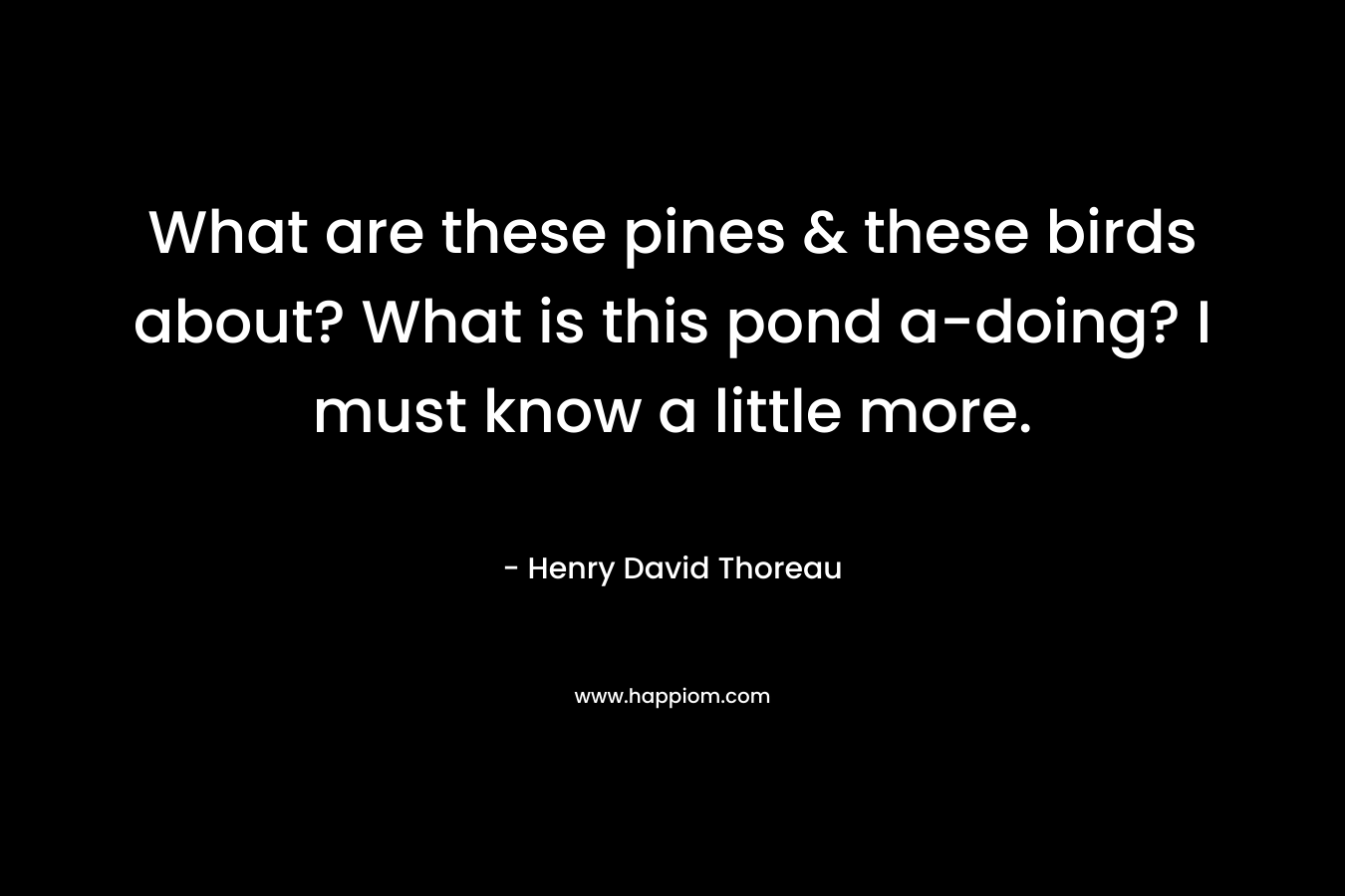 What are these pines & these birds about? What is this pond a-doing? I must know a little more. – Henry David Thoreau
