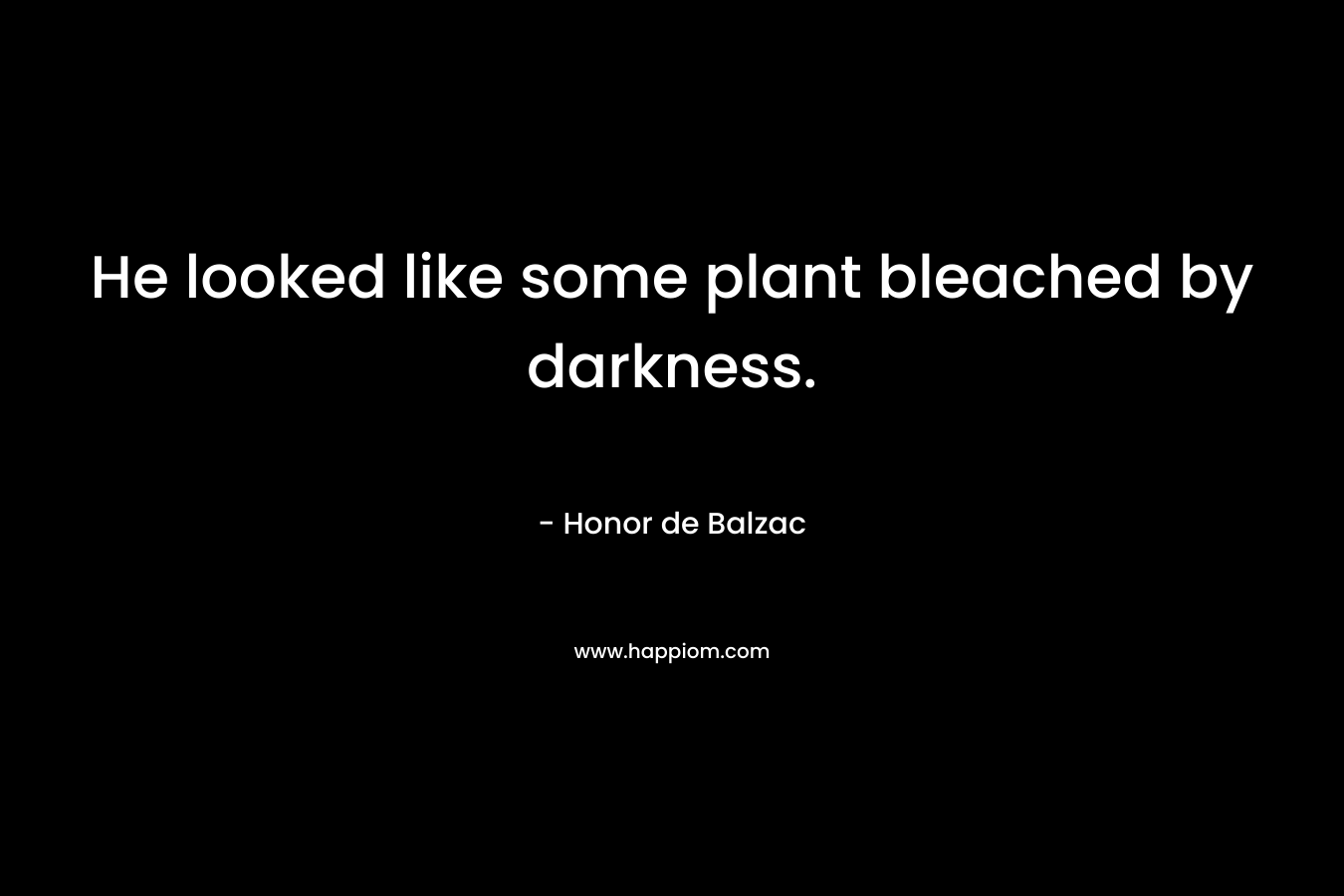He looked like some plant bleached by darkness.