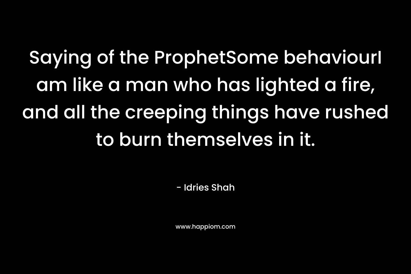 Saying of the ProphetSome behaviourI am like a man who has lighted a fire, and all the creeping things have rushed to burn themselves in it. – Idries Shah