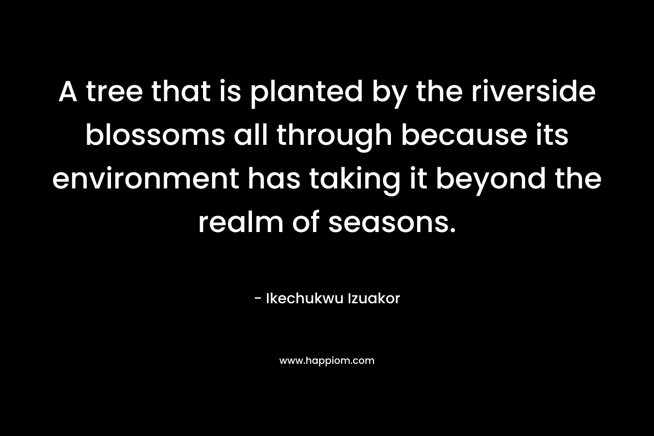 A tree that is planted by the riverside blossoms all through because its environment has taking it beyond the realm of seasons.
