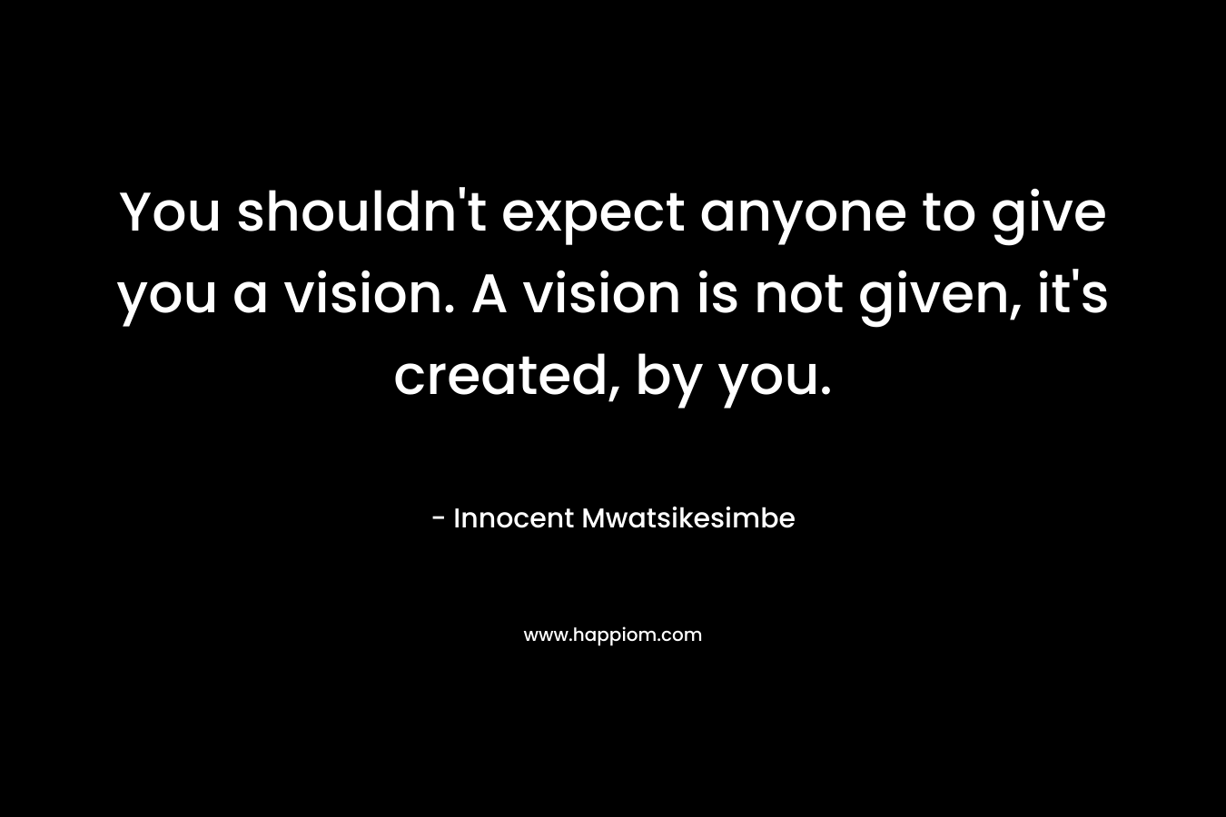 You shouldn't expect anyone to give you a vision. A vision is not given, it's created, by you.
