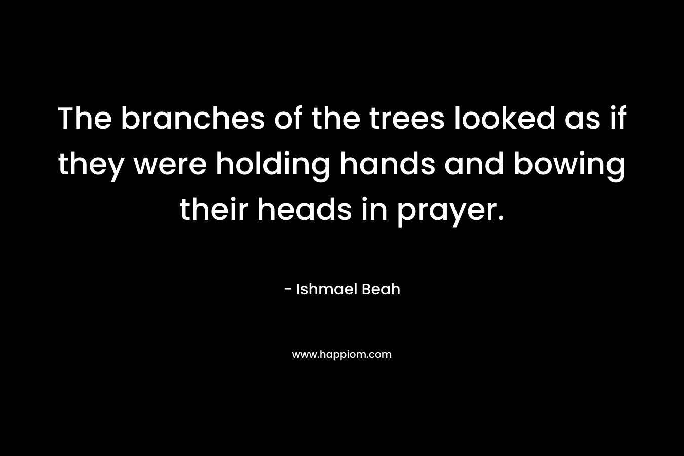 The branches of the trees looked as if they were holding hands and bowing their heads in prayer. – Ishmael Beah