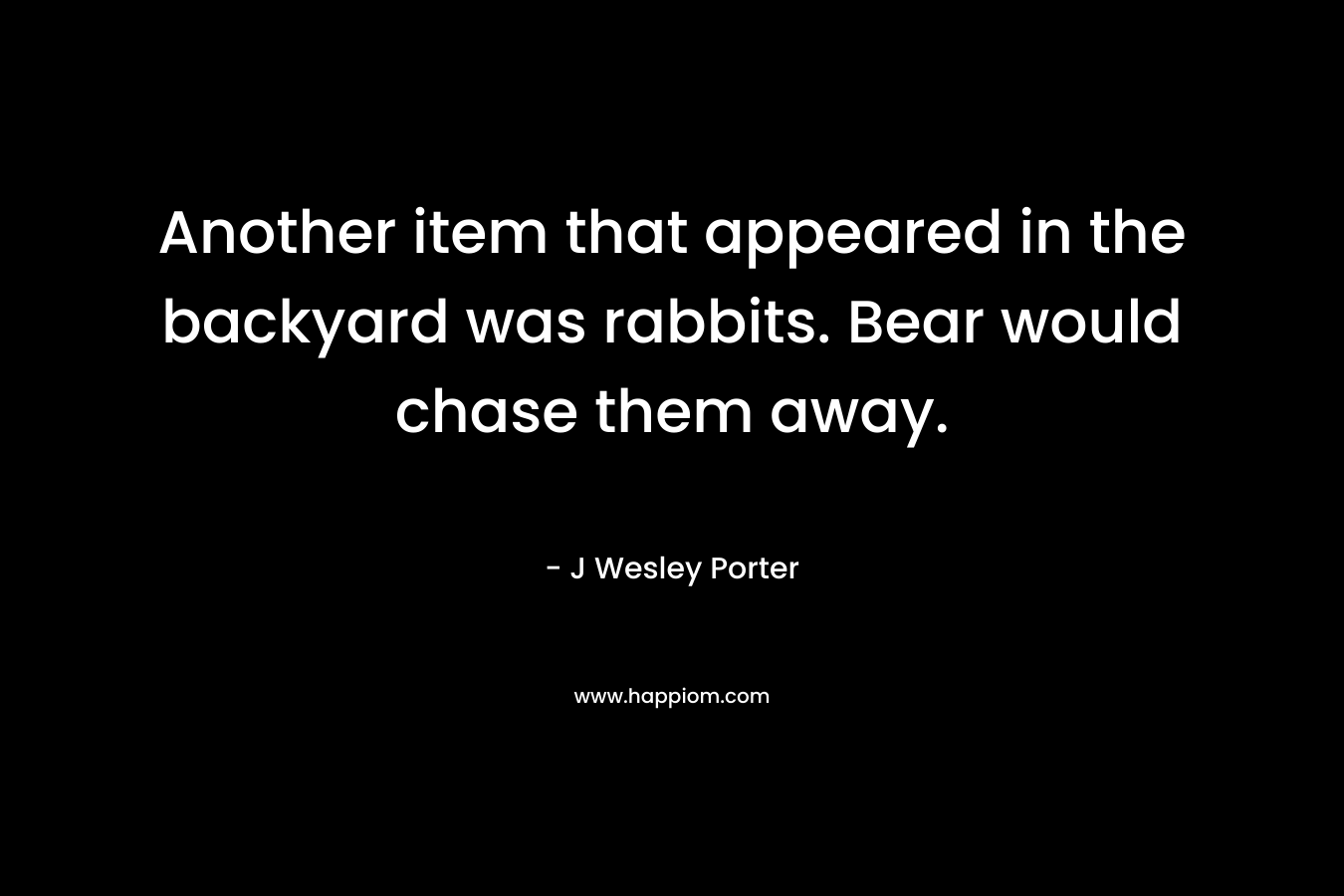 Another item that appeared in the backyard was rabbits. Bear would chase them away. – J Wesley Porter