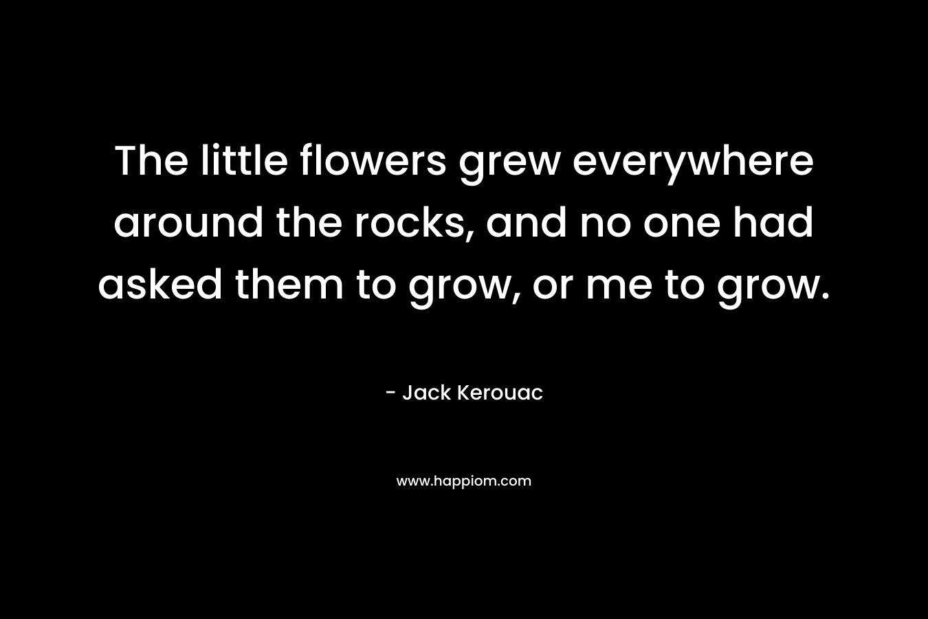 The little flowers grew everywhere around the rocks, and no one had asked them to grow, or me to grow.