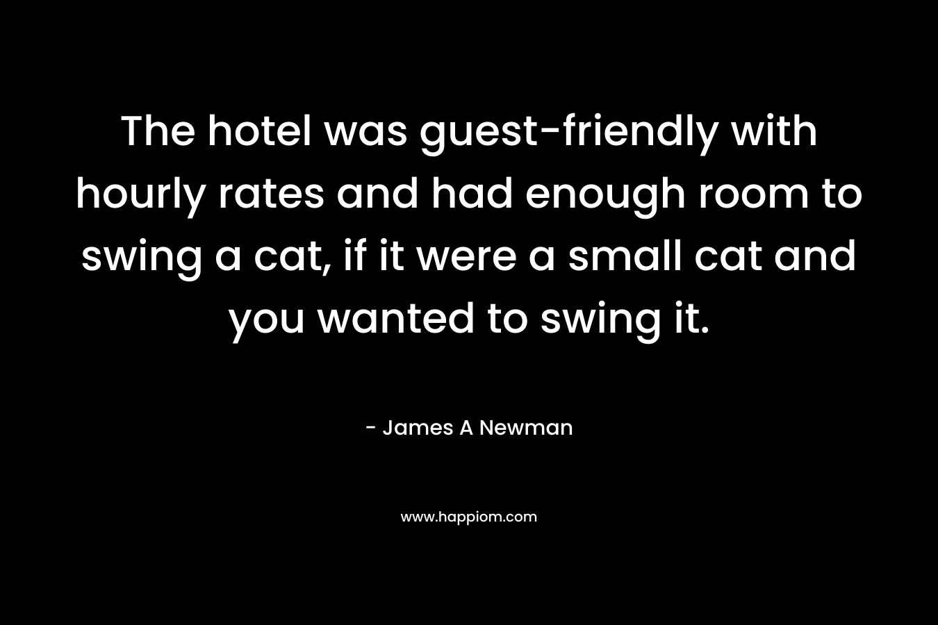 The hotel was guest-friendly with hourly rates and had enough room to swing a cat, if it were a small cat and you wanted to swing it. – James A Newman