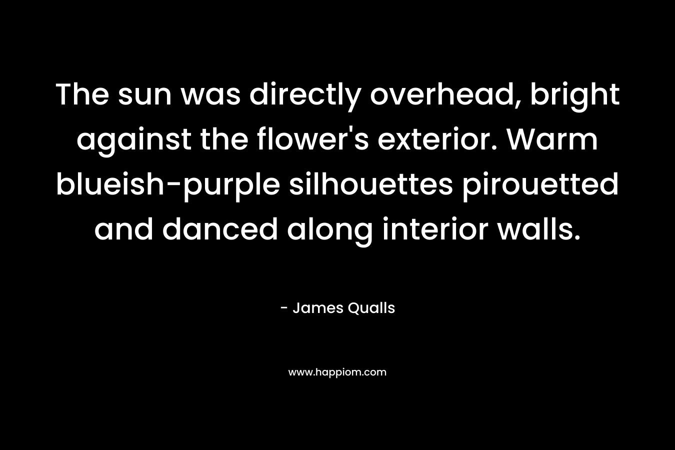 The sun was directly overhead, bright against the flower’s exterior. Warm blueish-purple silhouettes pirouetted and danced along interior walls. – James Qualls