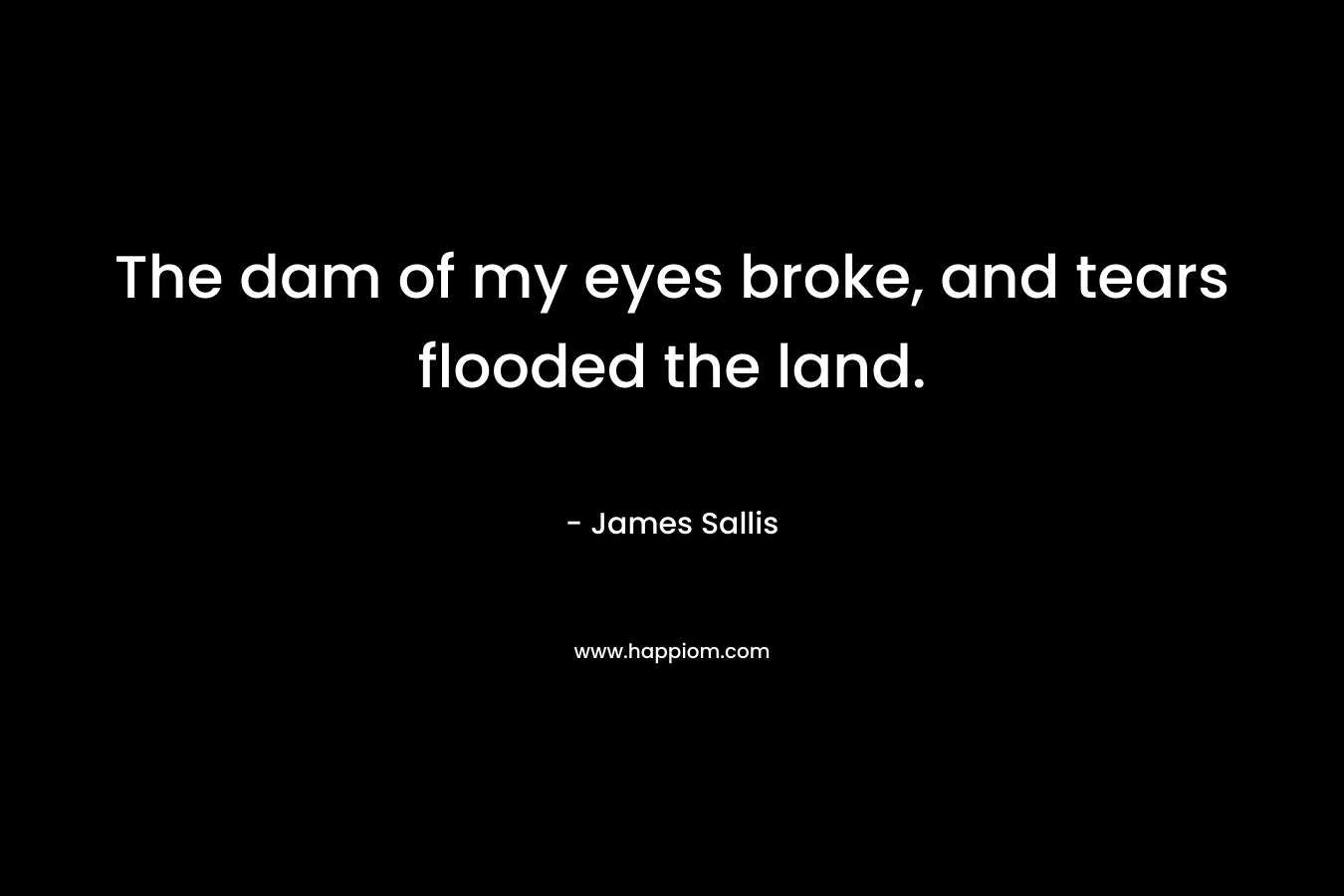 The dam of my eyes broke, and tears flooded the land.