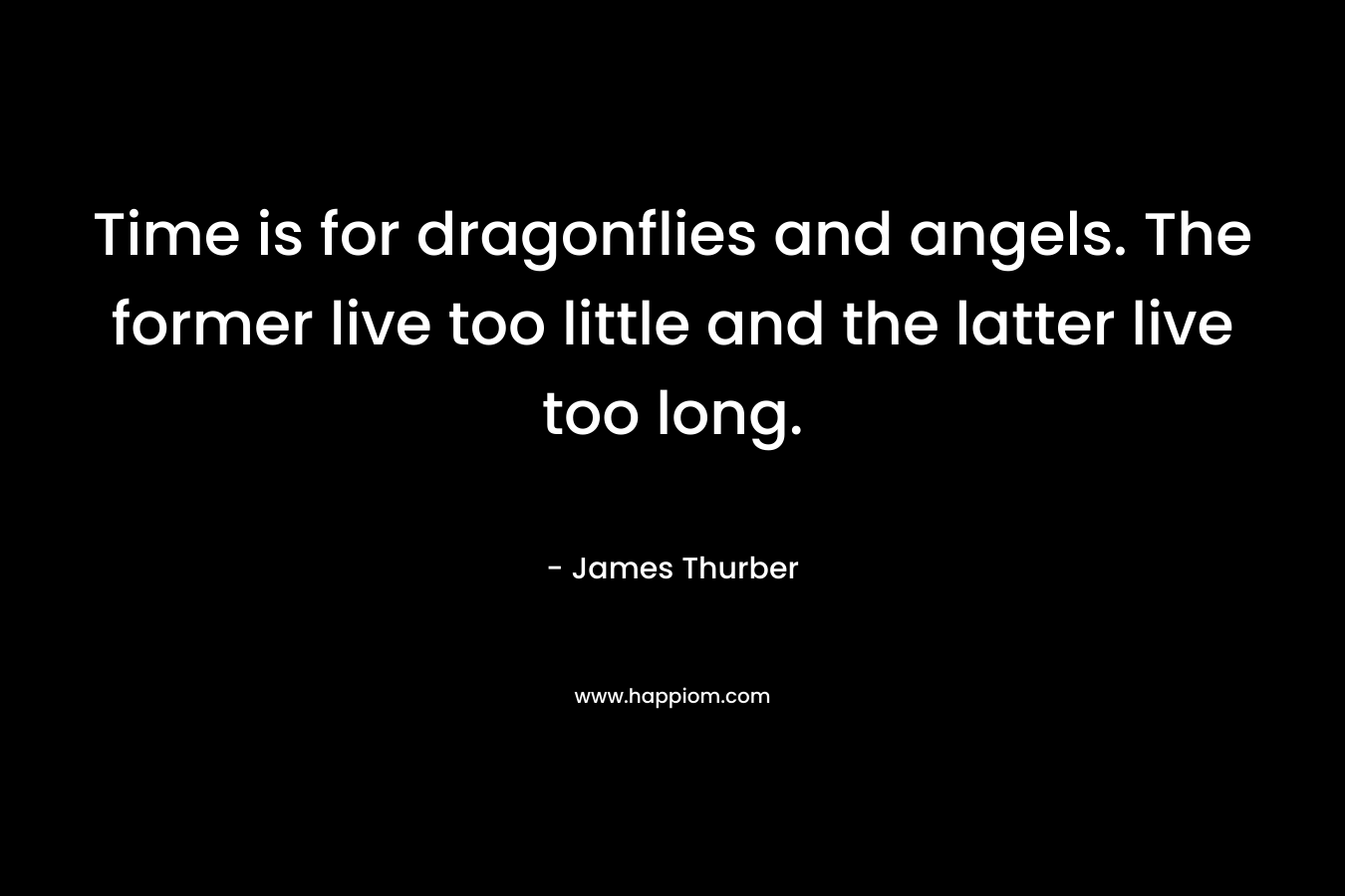 Time is for dragonflies and angels. The former live too little and the latter live too long.
