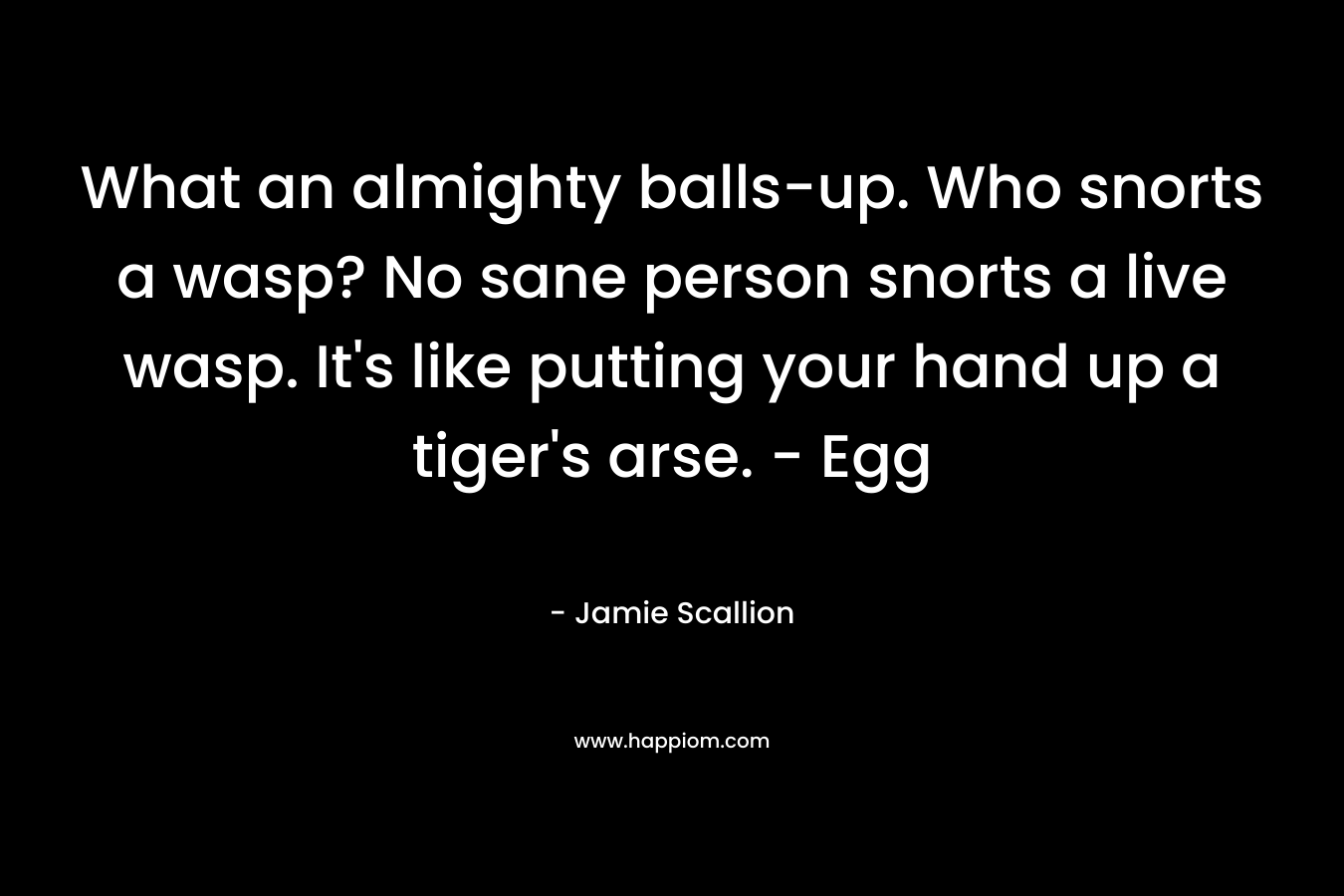 What an almighty balls-up. Who snorts a wasp? No sane person snorts a live wasp. It’s like putting your hand up a tiger’s arse. – Egg – Jamie Scallion