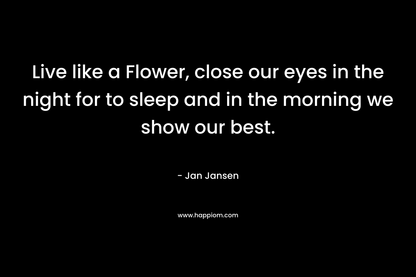 Live like a Flower, close our eyes in the night for to sleep and in the morning we show our best. – Jan Jansen