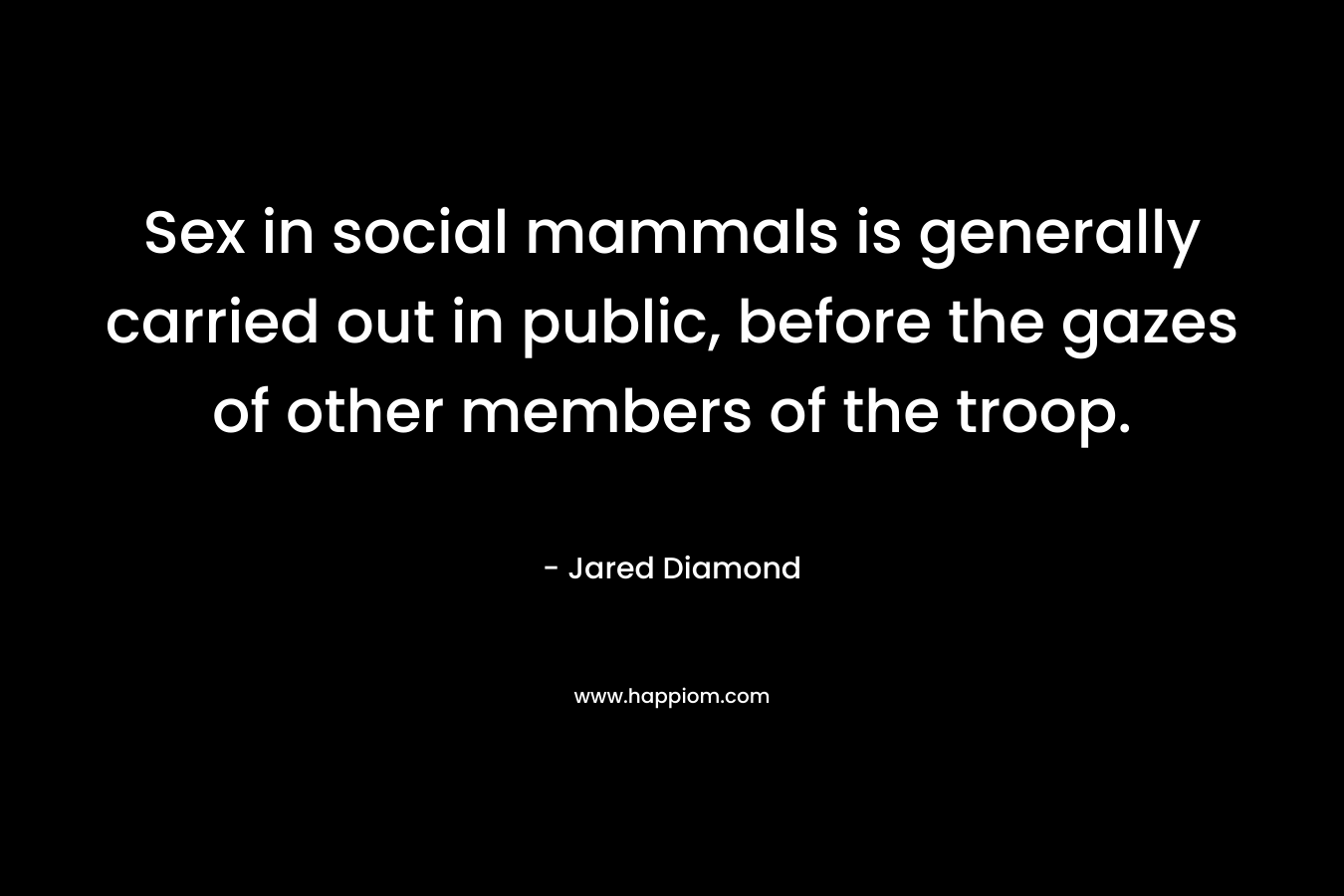 Sex in social mammals is generally carried out in public, before the gazes of other members of the troop.