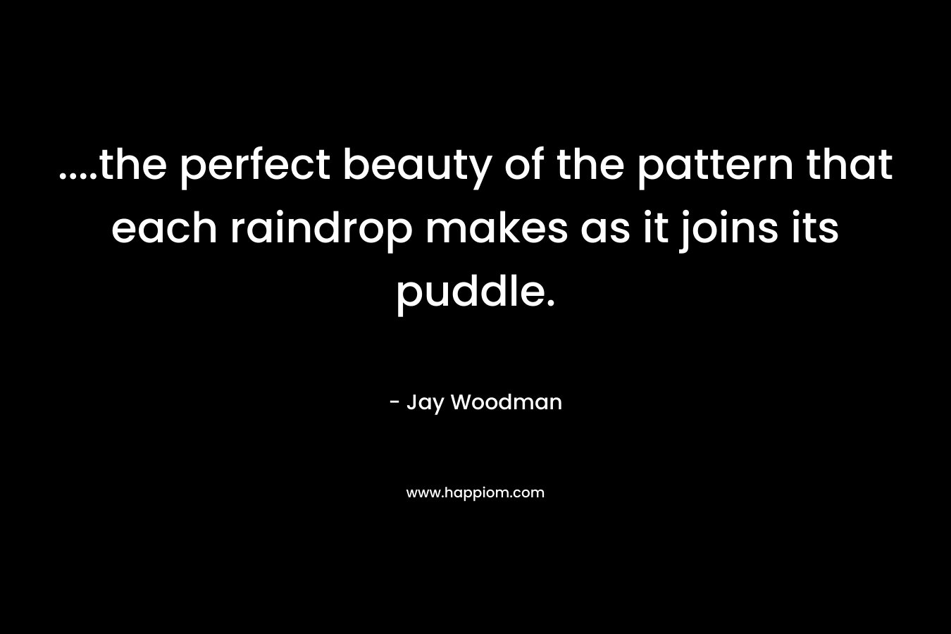 ….the perfect beauty of the pattern that each raindrop makes as it joins its puddle. – Jay Woodman
