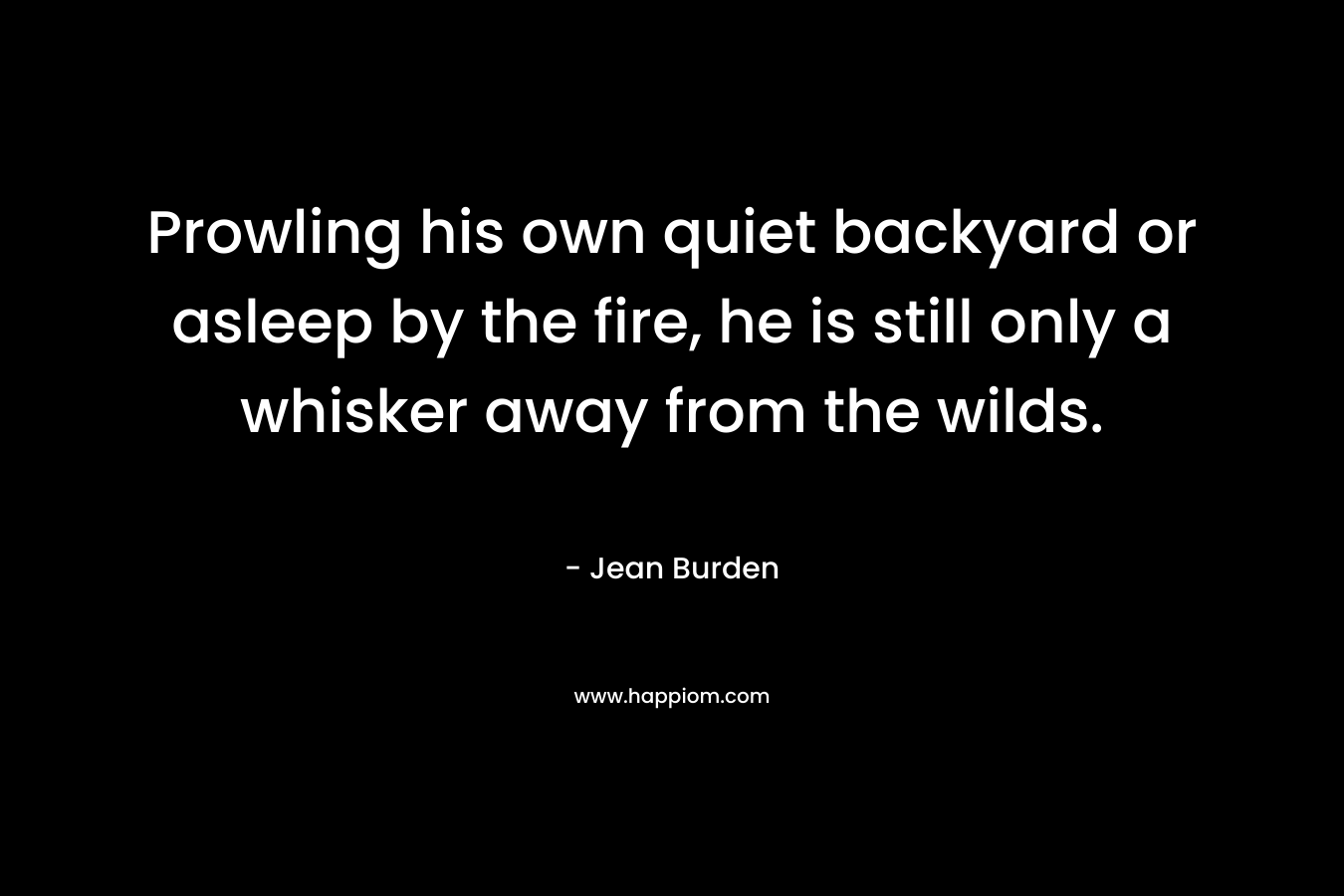 Prowling his own quiet backyard or asleep by the fire, he is still only a whisker away from the wilds. – Jean Burden