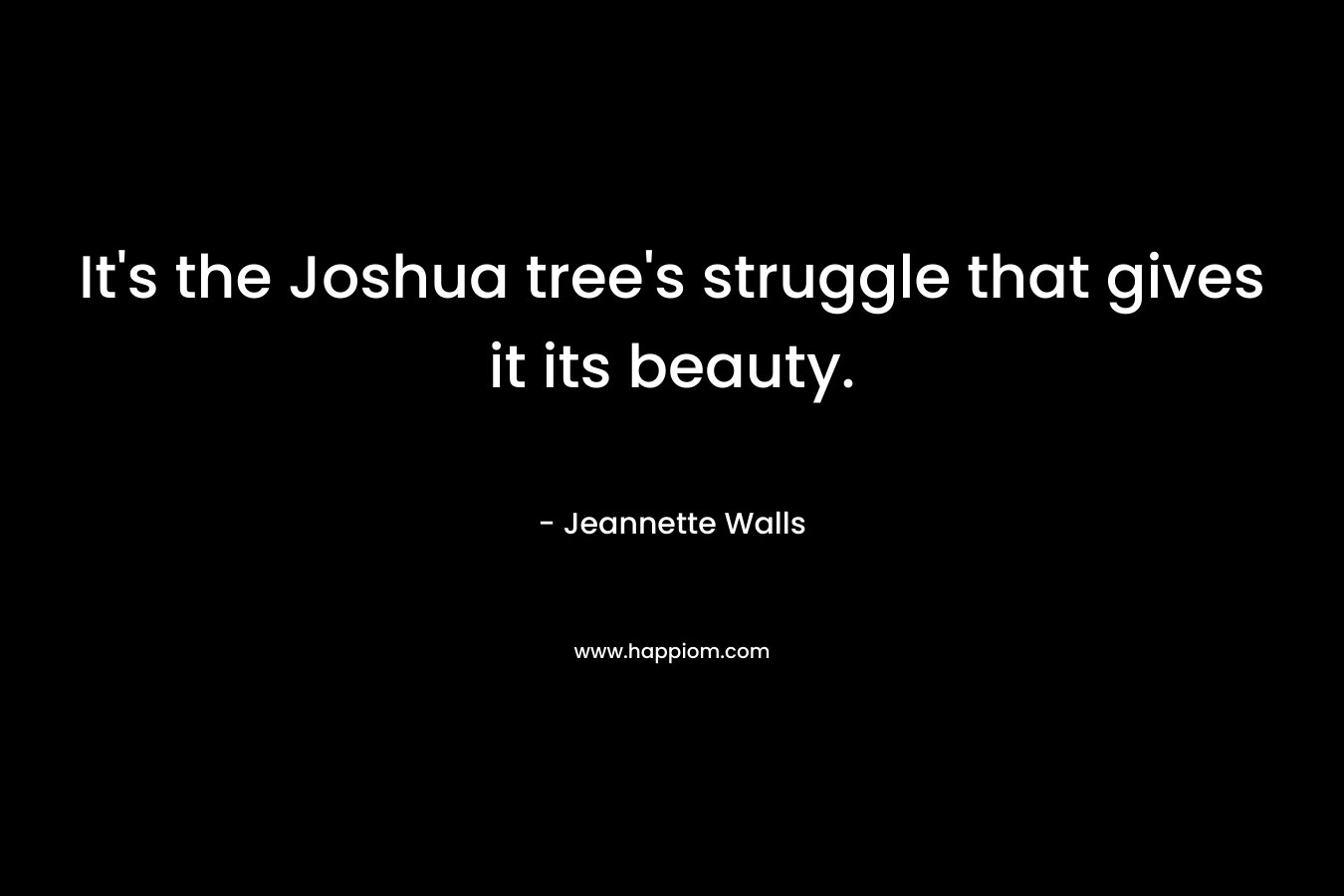 It’s the Joshua tree’s struggle that gives it its beauty. – Jeannette Walls