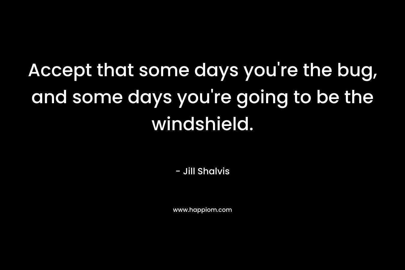 Accept that some days you're the bug, and some days you're going to be the windshield.