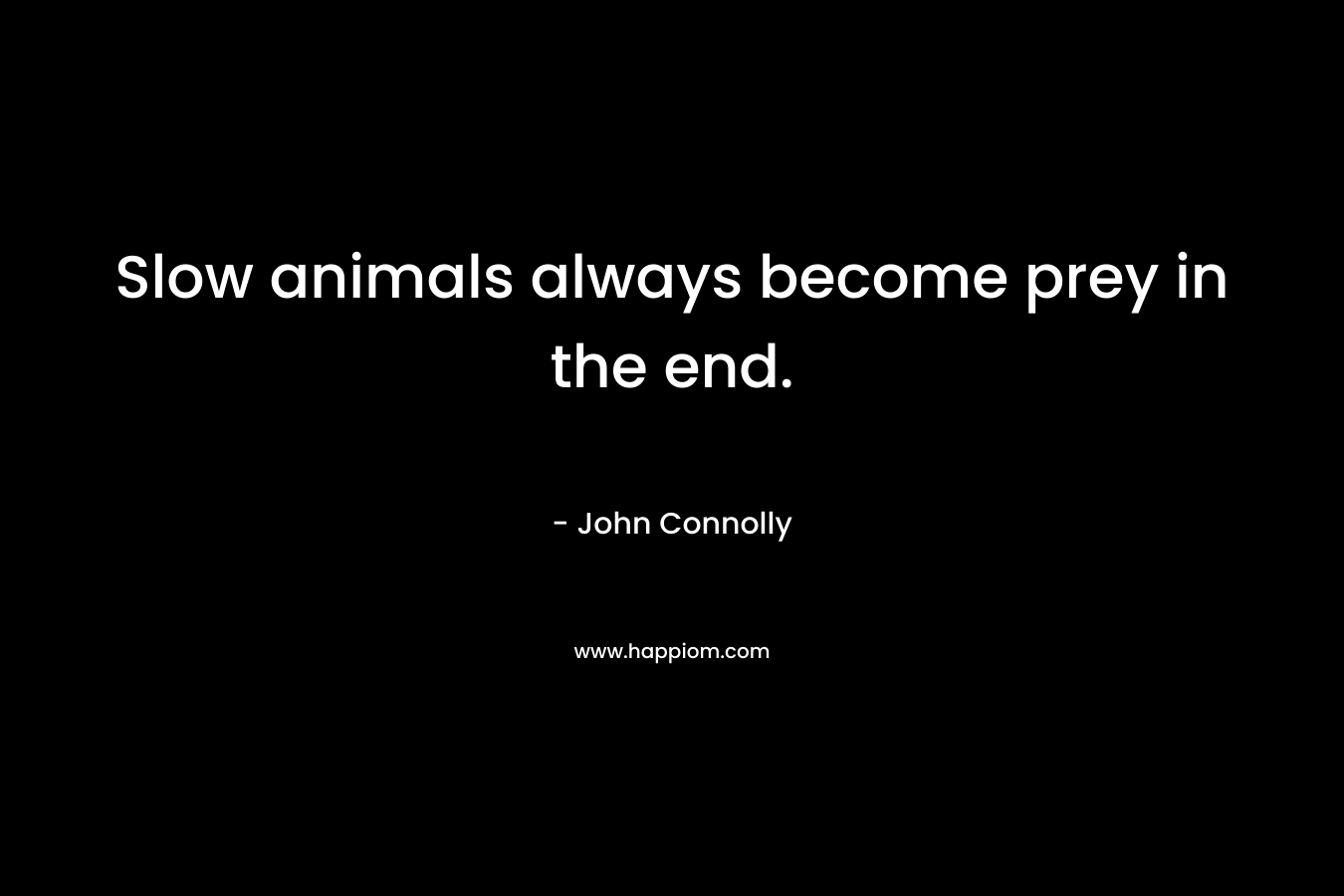 Slow animals always become prey in the end. – John Connolly