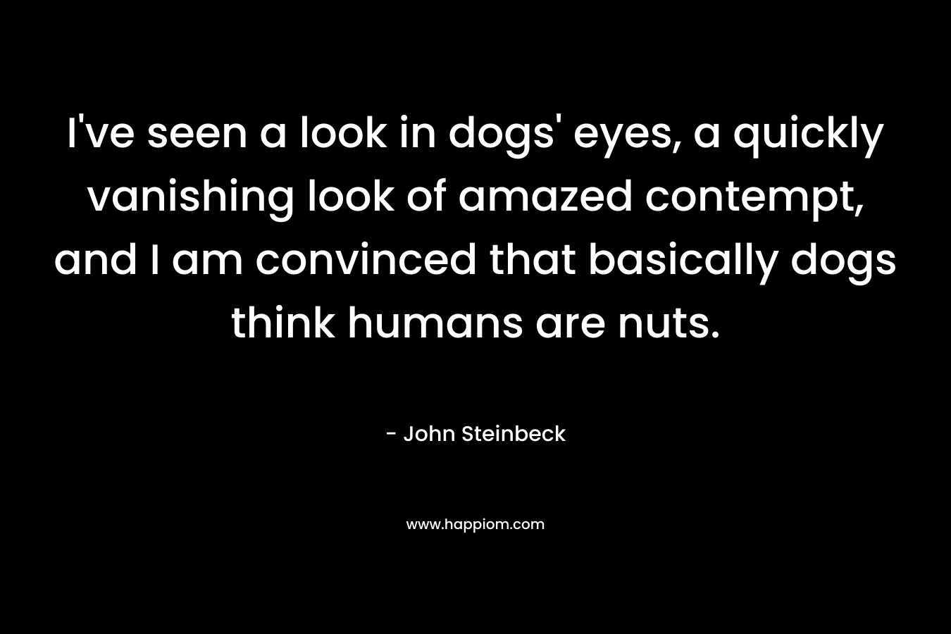 I’ve seen a look in dogs’ eyes, a quickly vanishing look of amazed contempt, and I am convinced that basically dogs think humans are nuts. – John Steinbeck