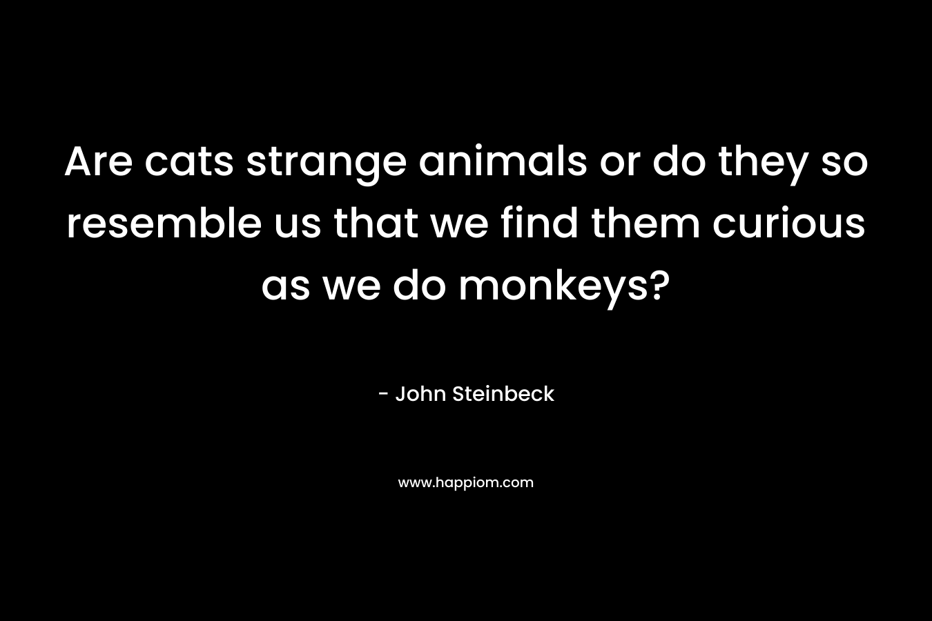 Are cats strange animals or do they so resemble us that we find them curious as we do monkeys? – John Steinbeck