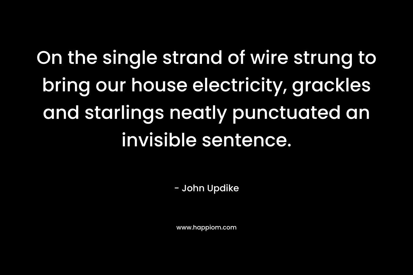 On the single strand of wire strung to bring our house electricity, grackles and starlings neatly punctuated an invisible sentence. – John Updike