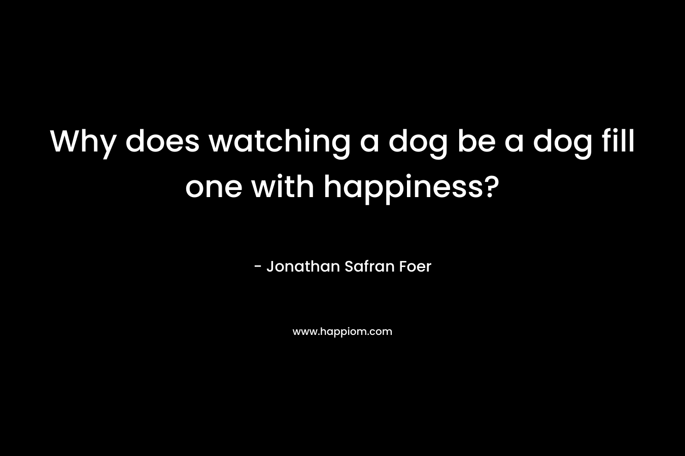 Why does watching a dog be a dog fill one with happiness?
