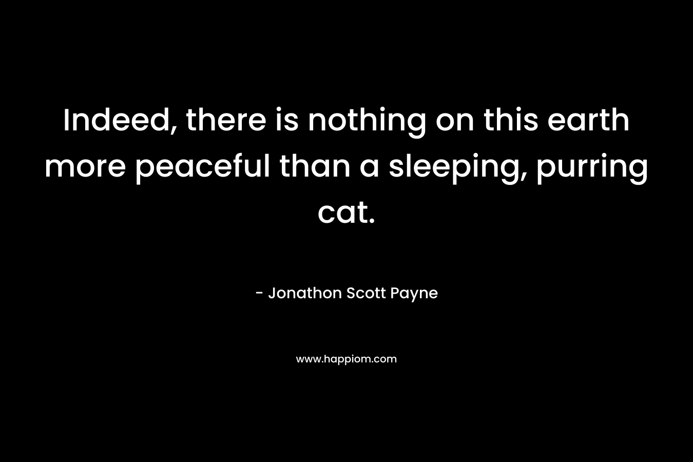 Indeed, there is nothing on this earth more peaceful than a sleeping, purring cat. – Jonathon Scott Payne