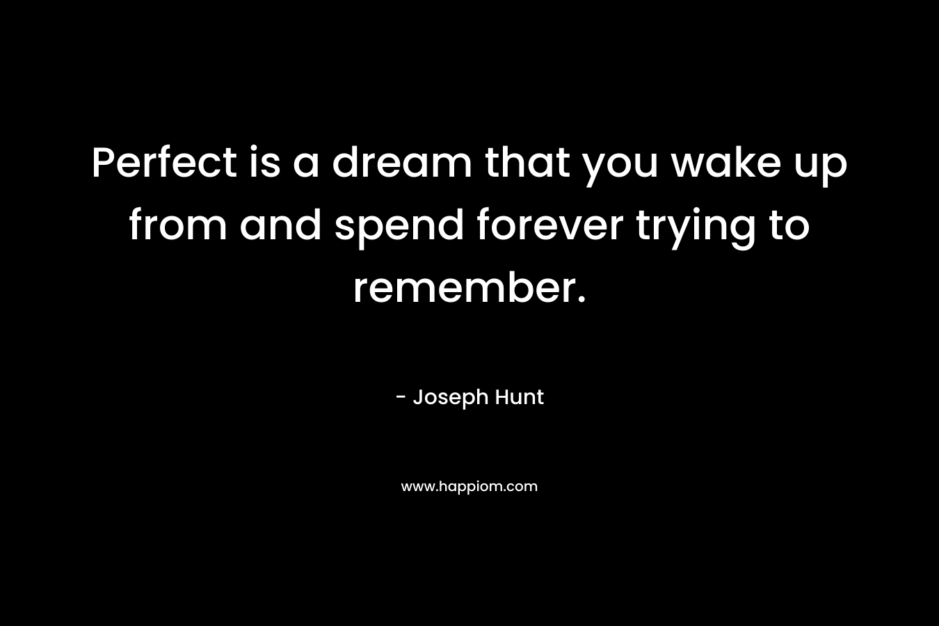 Perfect is a dream that you wake up from and spend forever trying to remember.
