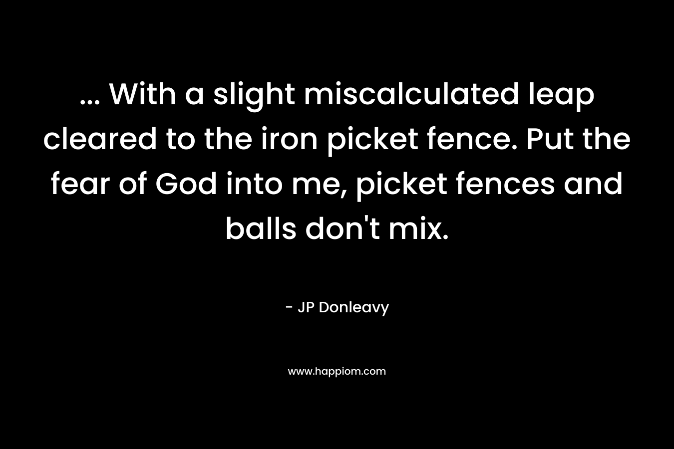 … With a slight miscalculated leap cleared to the iron picket fence. Put the fear of God into me, picket fences and balls don’t mix. – JP Donleavy