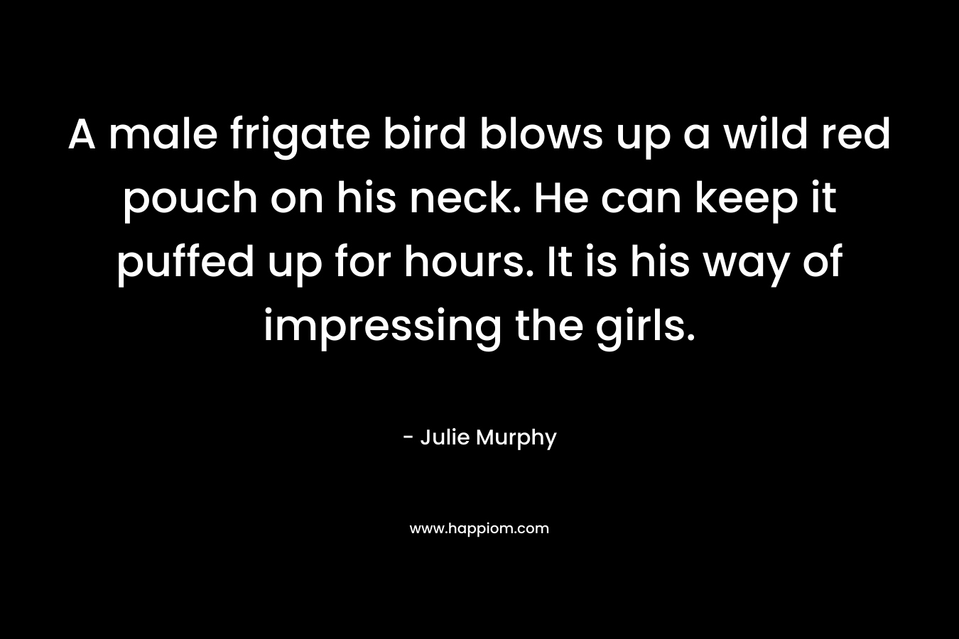 A male frigate bird blows up a wild red pouch on his neck. He can keep it puffed up for hours. It is his way of impressing the girls. – Julie  Murphy