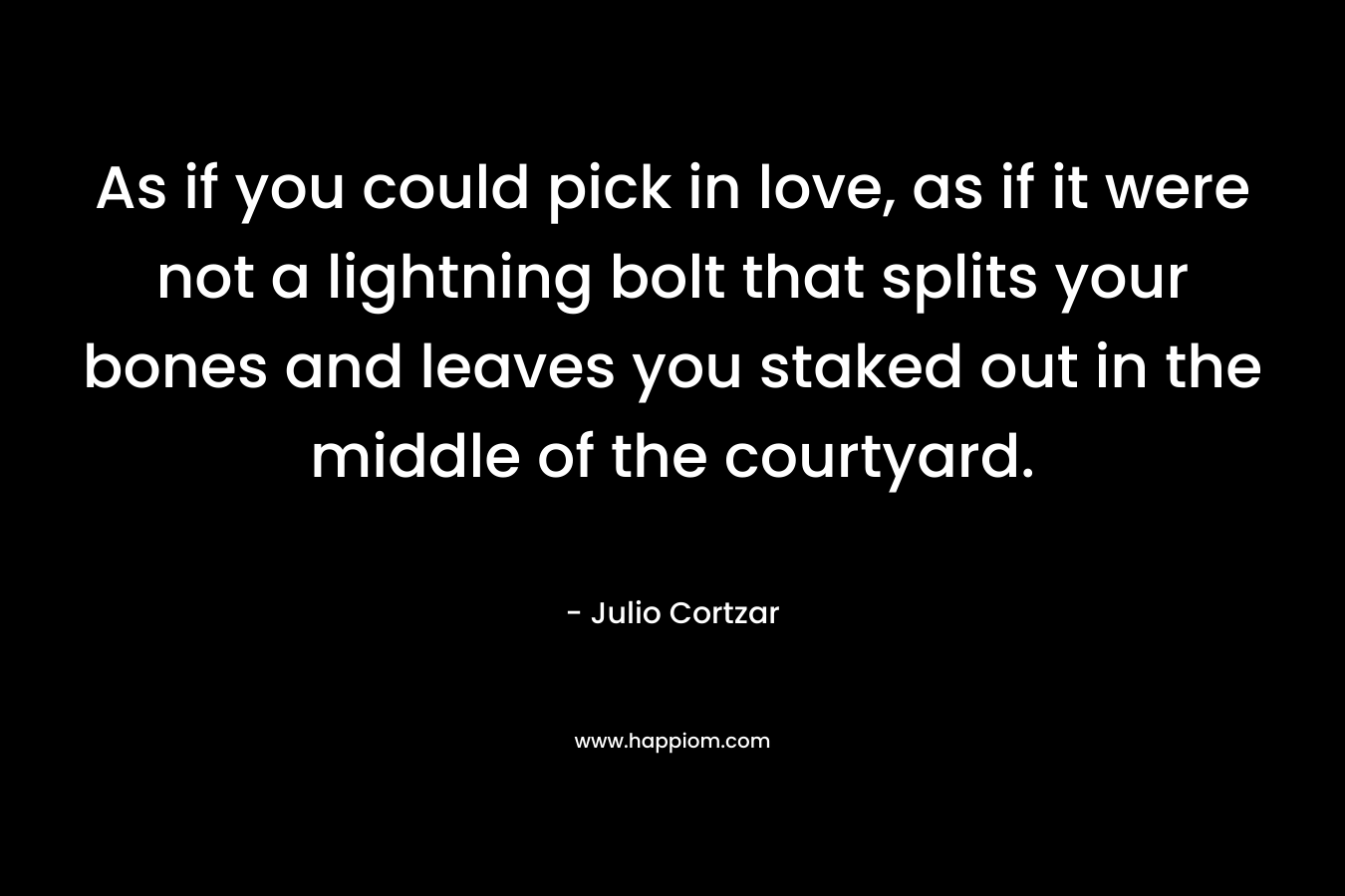 As if you could pick in love, as if it were not a lightning bolt that splits your bones and leaves you staked out in the middle of the courtyard. – Julio Cortzar