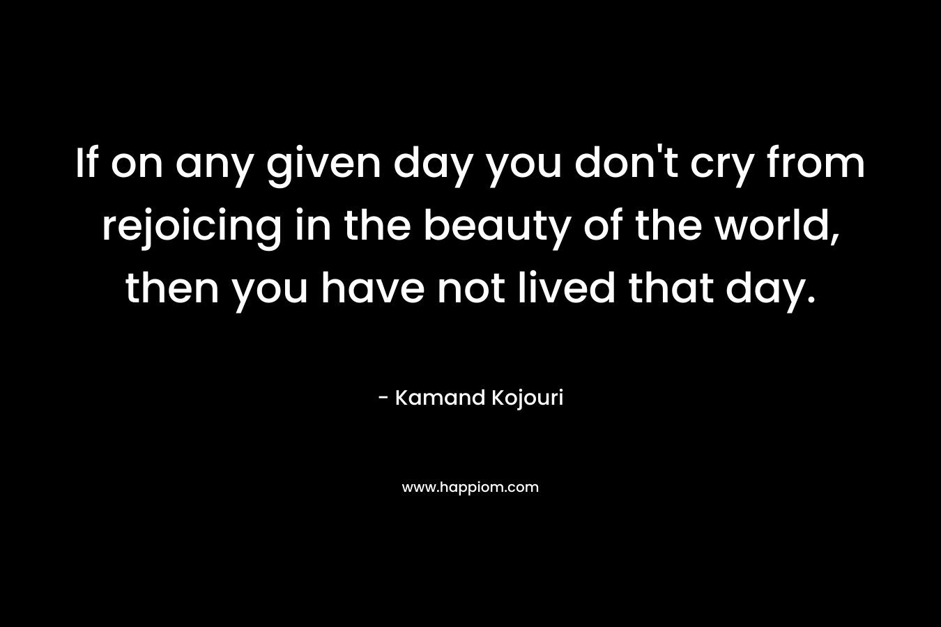 If on any given day you don’t cry from rejoicing in the beauty of the world, then you have not lived that day. – Kamand Kojouri