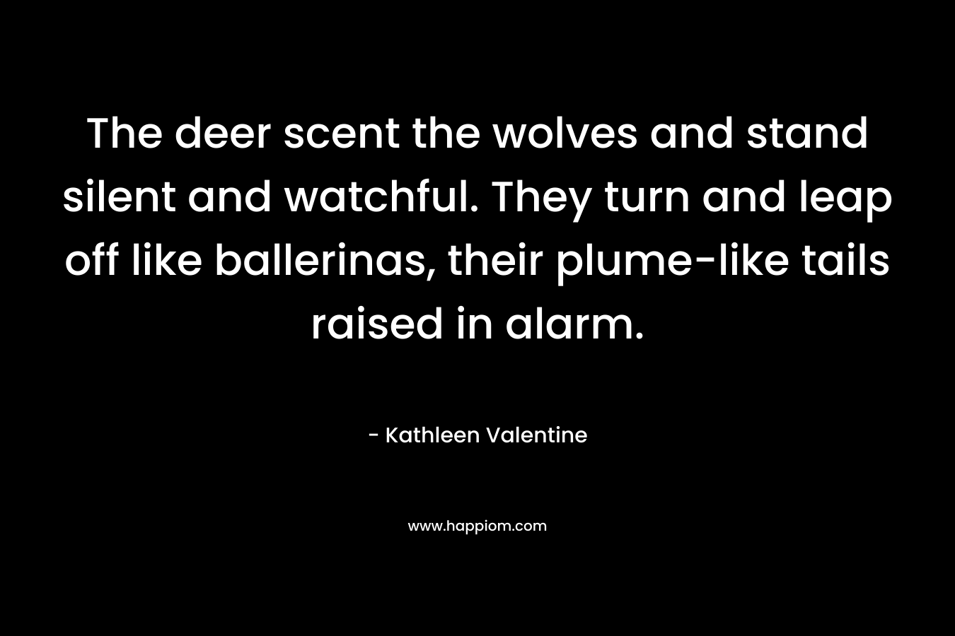 The deer scent the wolves and stand silent and watchful. They turn and leap off like ballerinas, their plume-like tails raised in alarm.