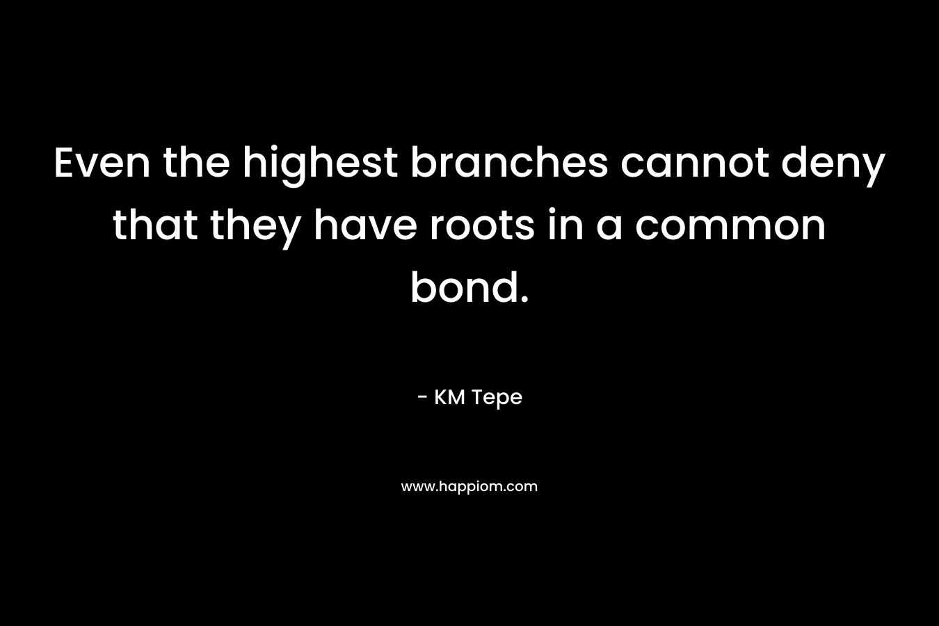 Even the highest branches cannot deny that they have roots in a common bond. – KM Tepe