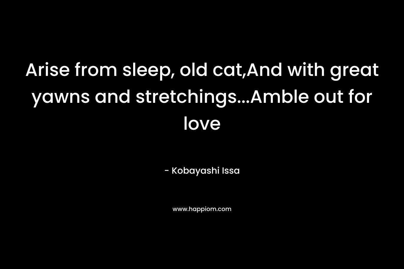 Arise from sleep, old cat,And with great yawns and stretchings…Amble out for love – Kobayashi Issa
