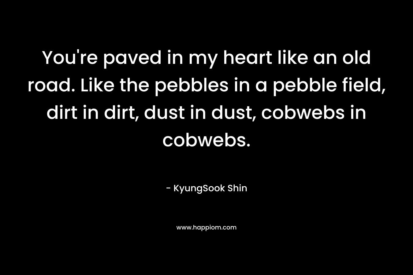 You’re paved in my heart like an old road. Like the pebbles in a pebble field, dirt in dirt, dust in dust, cobwebs in cobwebs. – KyungSook Shin