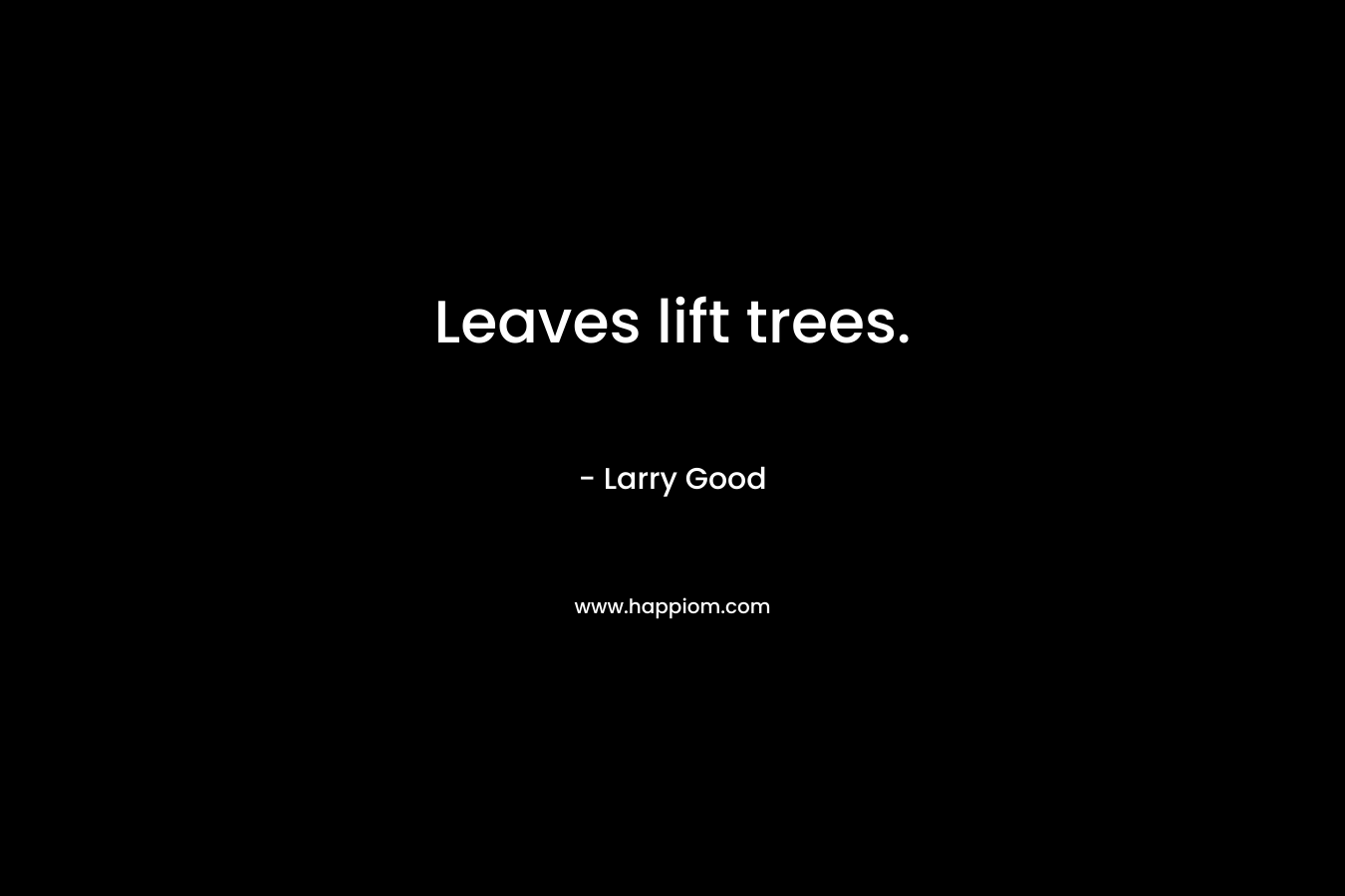 Leaves lift trees. – Larry Good