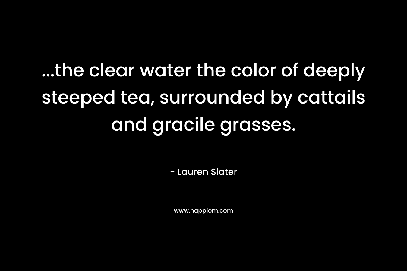 …the clear water the color of deeply steeped tea, surrounded by cattails and gracile grasses. – Lauren Slater