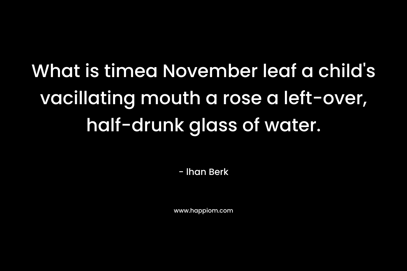 What is timea November leaf a child’s vacillating mouth a rose a left-over, half-drunk glass of water. – lhan Berk