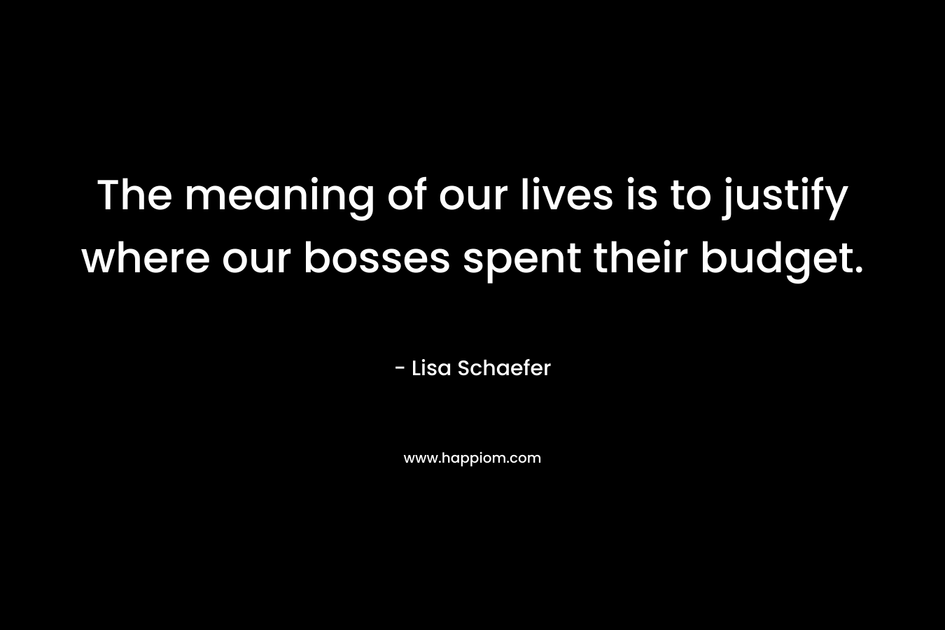 The meaning of our lives is to justify where our bosses spent their budget. – Lisa Schaefer