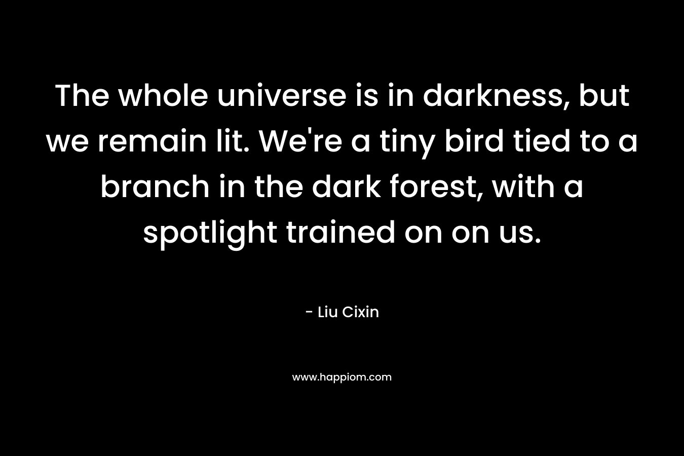 The whole universe is in darkness, but we remain lit. We’re a tiny bird tied to a branch in the dark forest, with a spotlight trained on on us. – Liu Cixin
