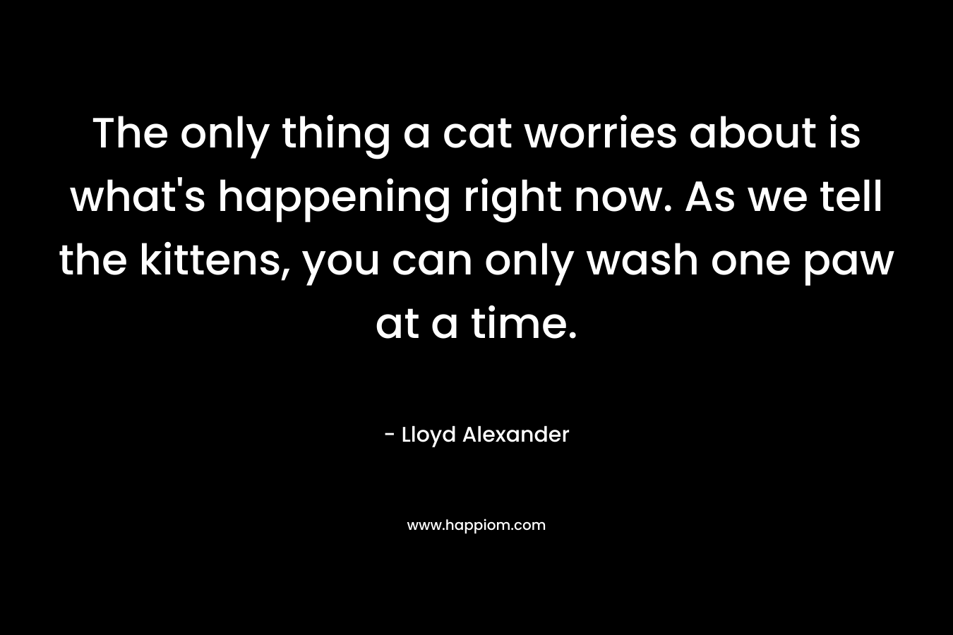 The only thing a cat worries about is what’s happening right now. As we tell the kittens, you can only wash one paw at a time. – Lloyd Alexander