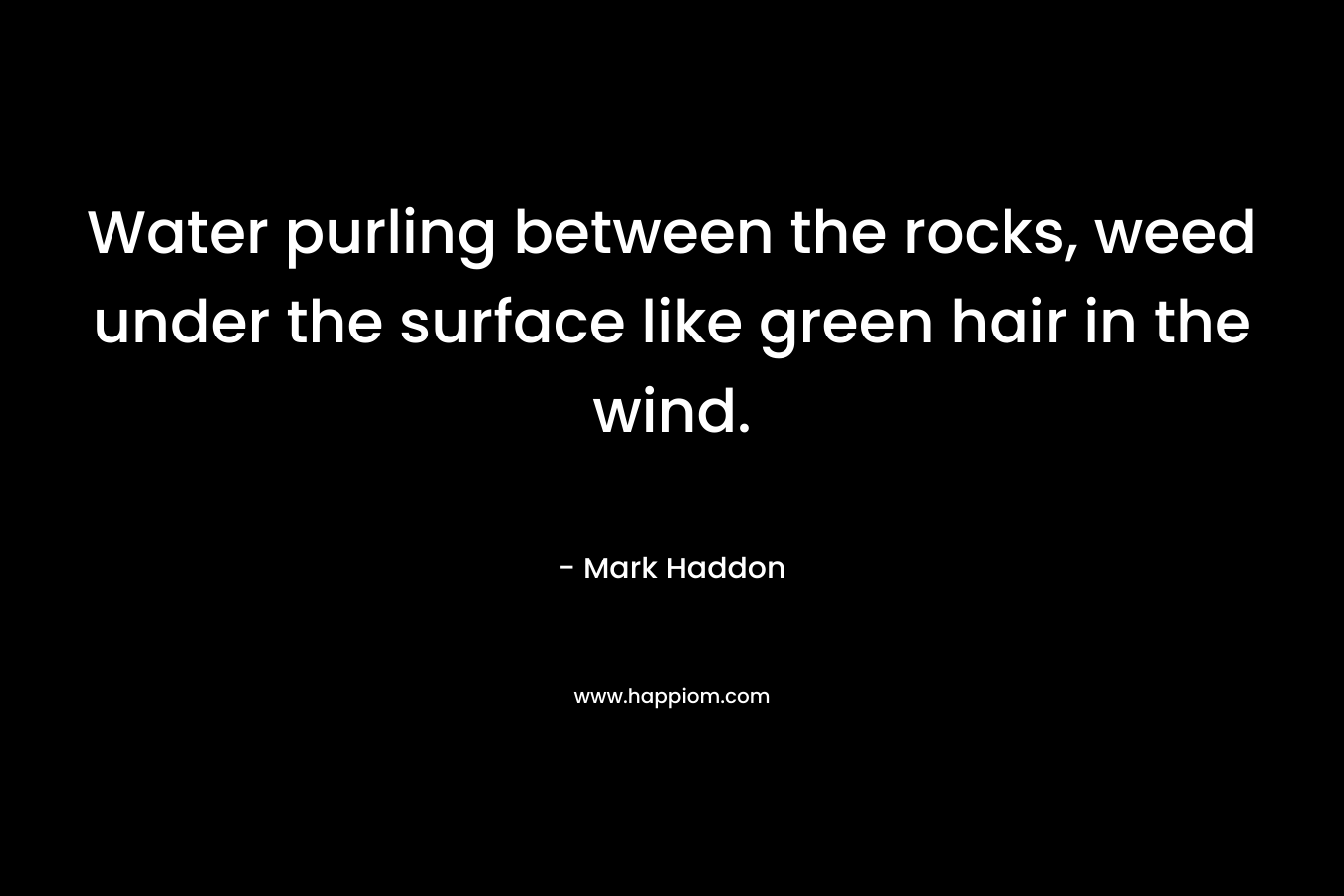 Water purling between the rocks, weed under the surface like green hair in the wind. – Mark Haddon