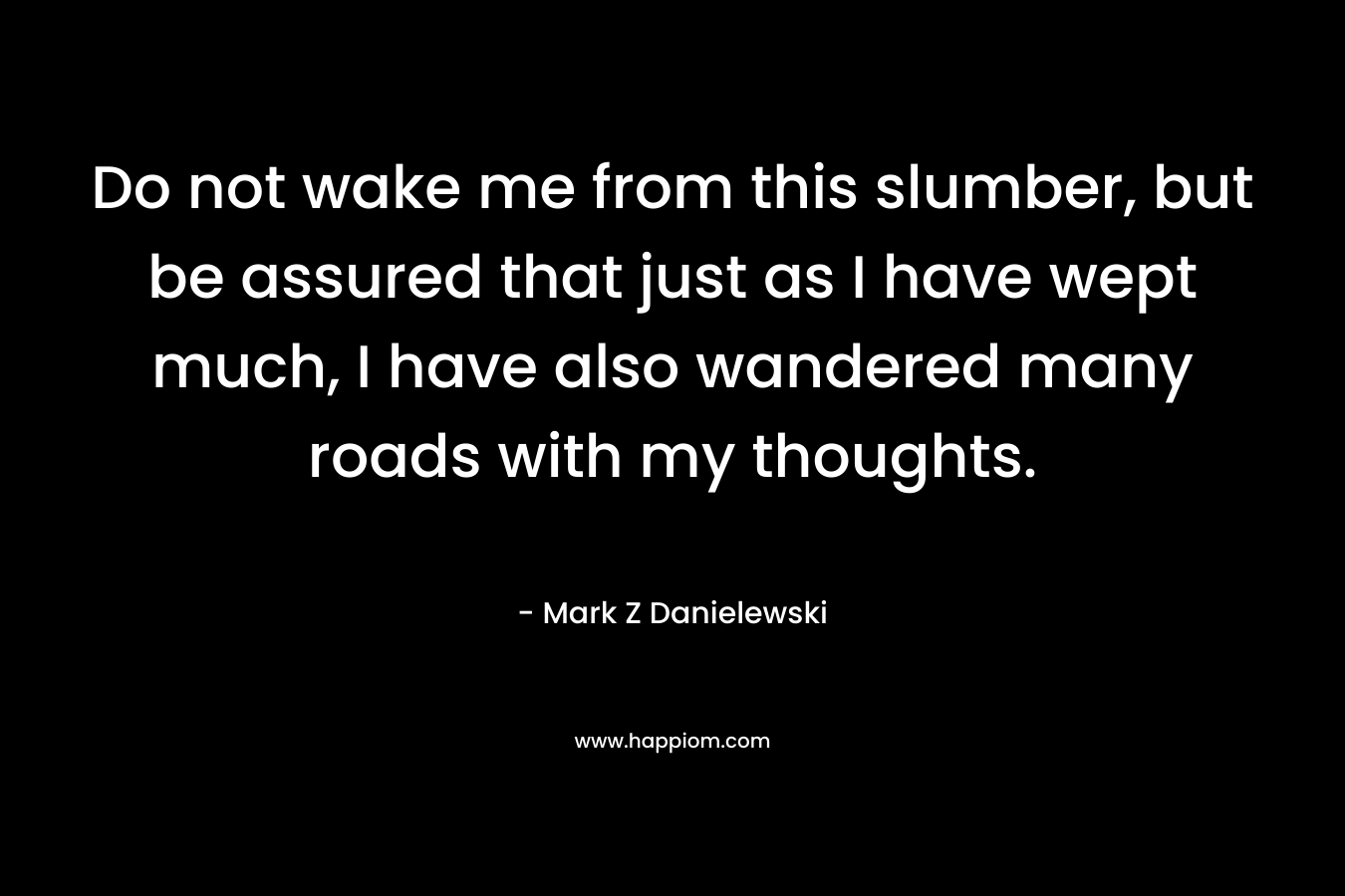 Do not wake me from this slumber, but be assured that just as I have wept much, I have also wandered many roads with my thoughts.