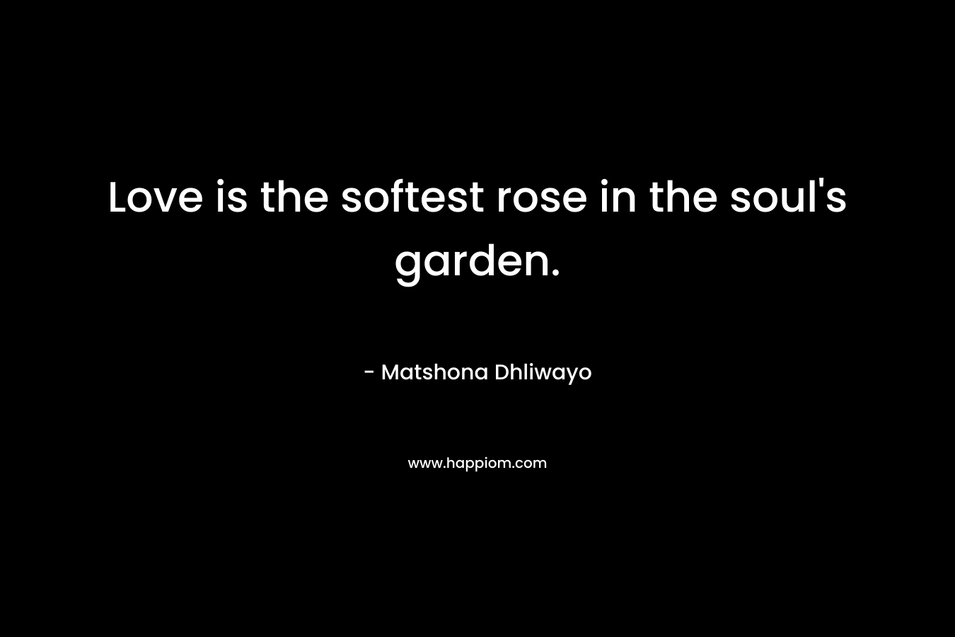Love is the softest rose in the soul’s garden. – Matshona Dhliwayo